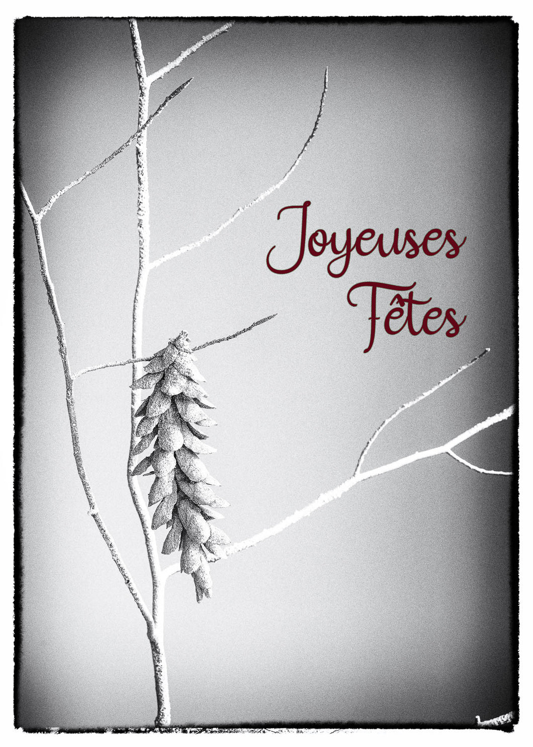 Carte de souhait du temps des Fêtes MJ 5''x7'' - Cocotte sur branche