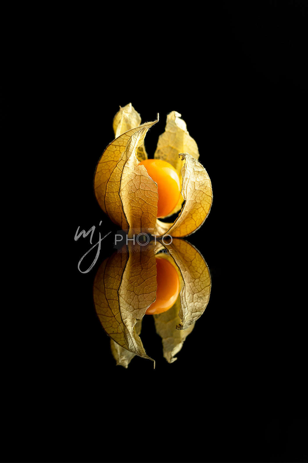 Impression MJ - papier Fine Art ou Canevas